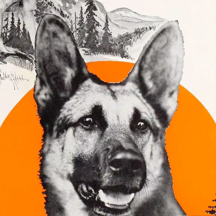 cover art for 1929 - Fourth Week of June