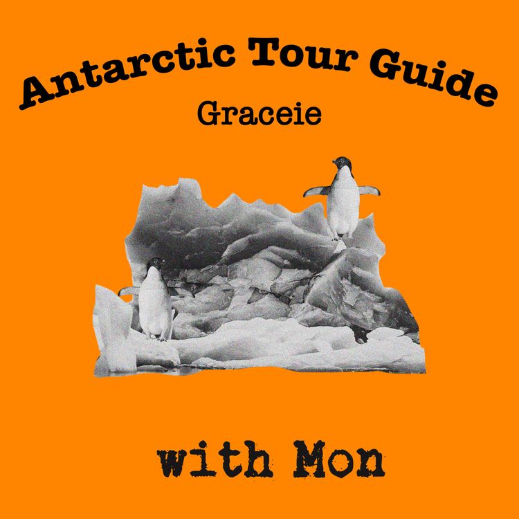 cover art for Antarctic Tour Guide