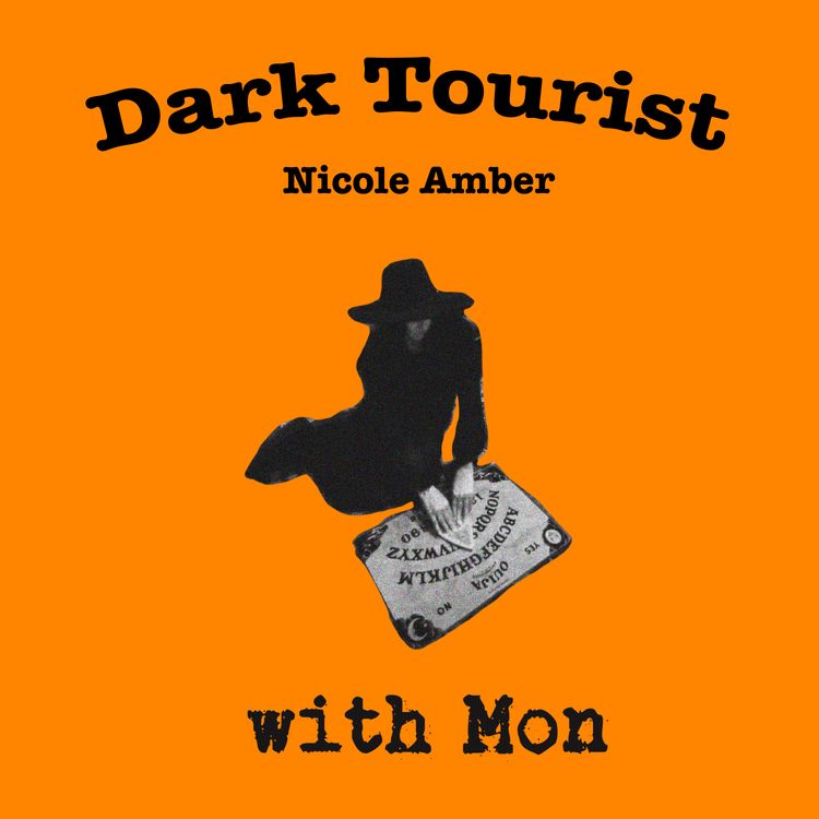 cover art for Dark Tourist 