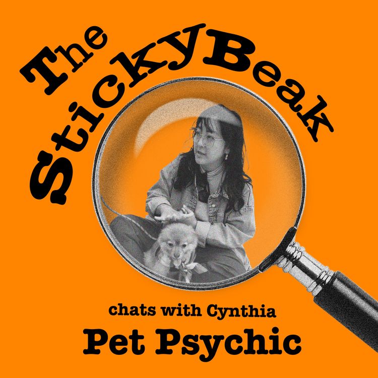 cover art for Pet Psychic 