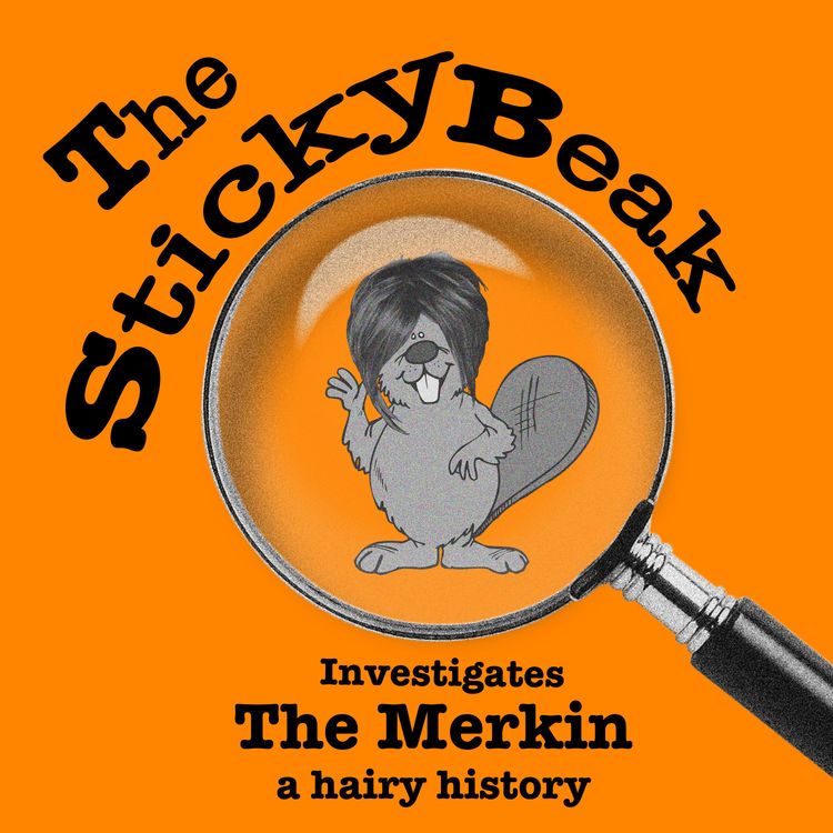 cover art for The Merkin: a hairy history