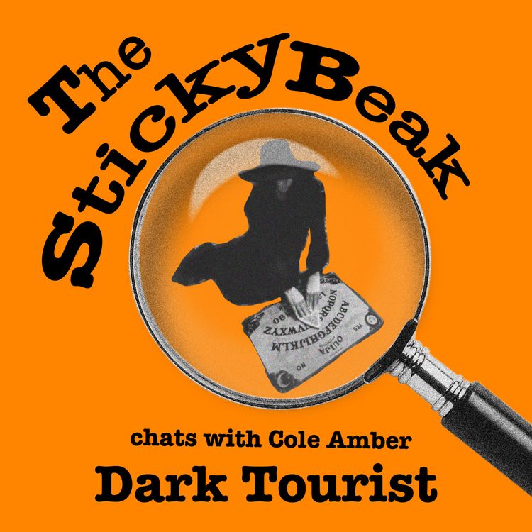 cover art for The Dark Tourist - Cole Amber