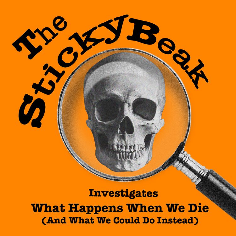 cover art for What Happens When We Die (And What We Could Do Instead)