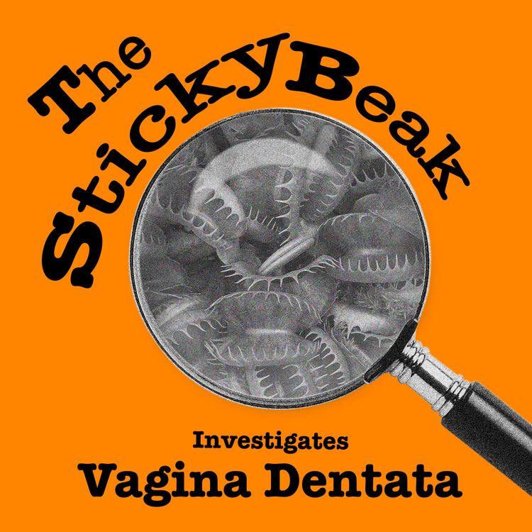 cover art for The Women Who Bite Back: Inside the Legend of Vagina Dentata