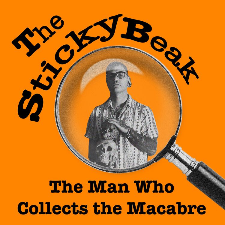 cover art for The Man Who Collects the Macabre