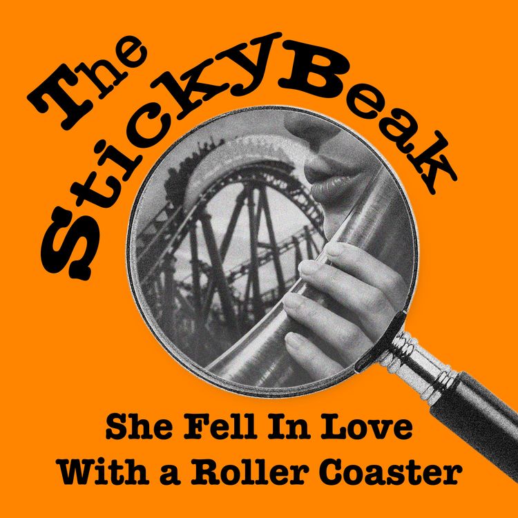 cover art for She Fell in Love With a Roller Coaster