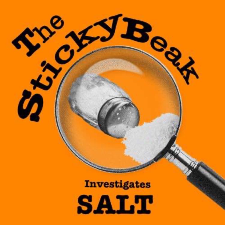cover art for The History of Salt: How One Tiny Crystal Built Civilisations