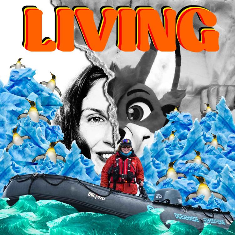 cover art for Antarctic Tour Guide - Graceie