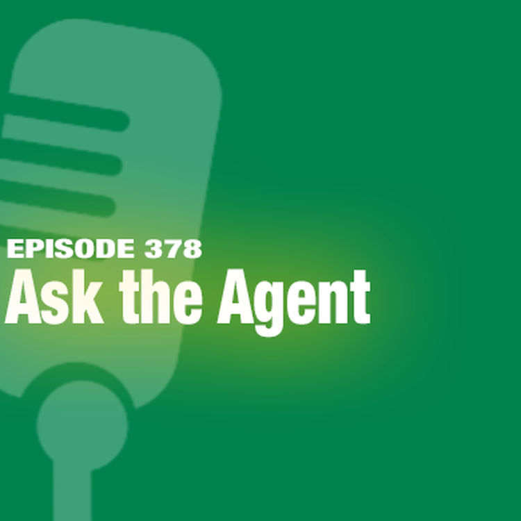cover art for TWiL Episode 378: Ask the Agent