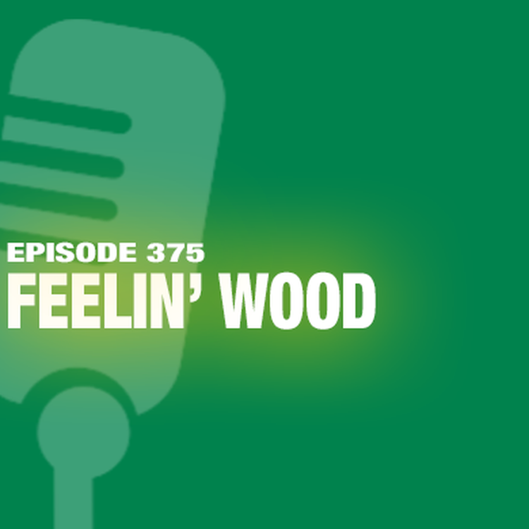 cover art for TWiL Episode 375: Feelin' Wood