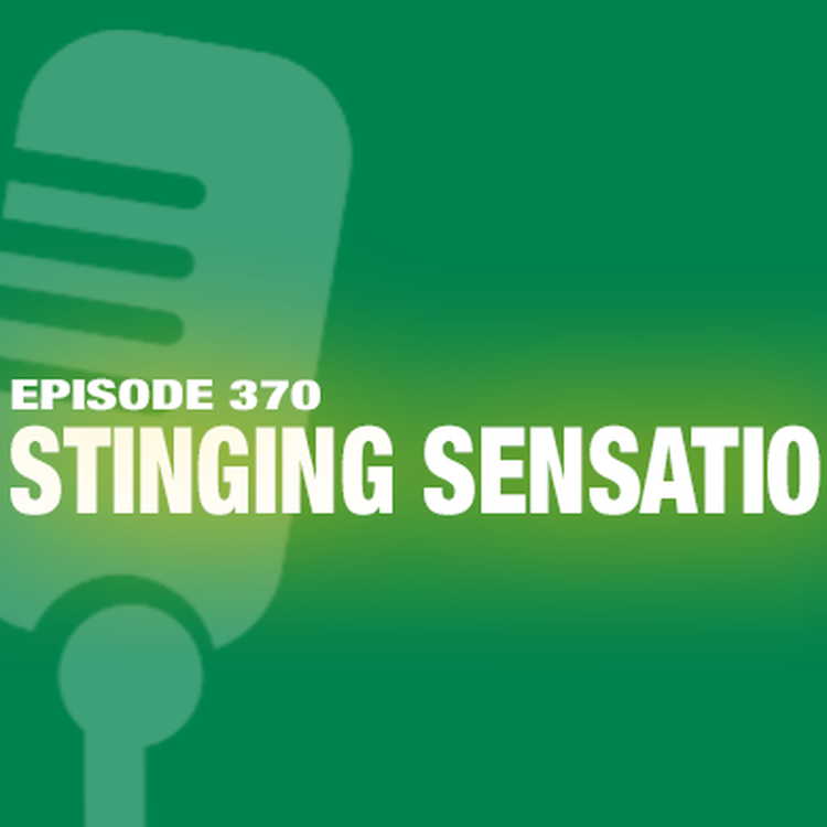 cover art for TWiL Episode 370: Stinging Sensation