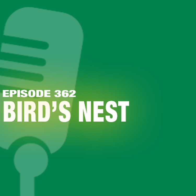 cover art for TWiL Episode 362: Bird's Nest