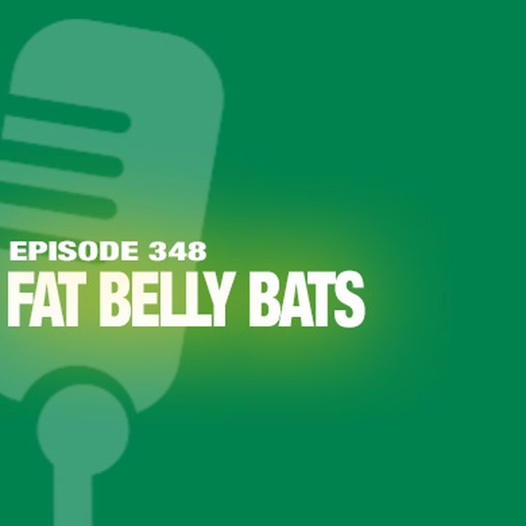 cover art for TWiL Episode #348: Fat Belly Bats