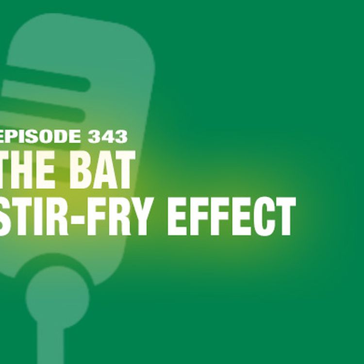 cover art for TWIL Episode 343: The Bat Stir-Fry Effect