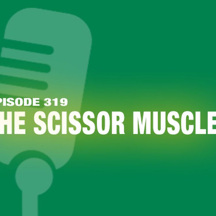 cover art for TWiL Episode 319: The Scissor Muscle