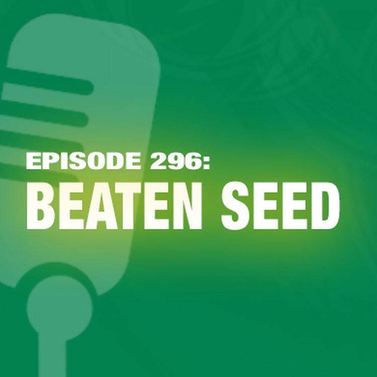 cover art for TWIL Episode 296: Beaten Seed