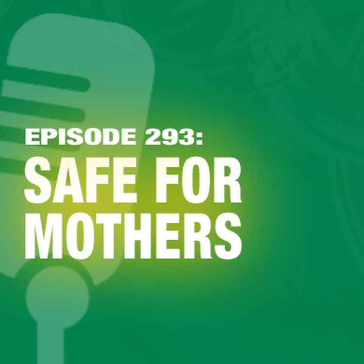 cover art for TWiL Episode 293: Safe For Mothers