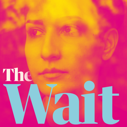 cover art for The Wait