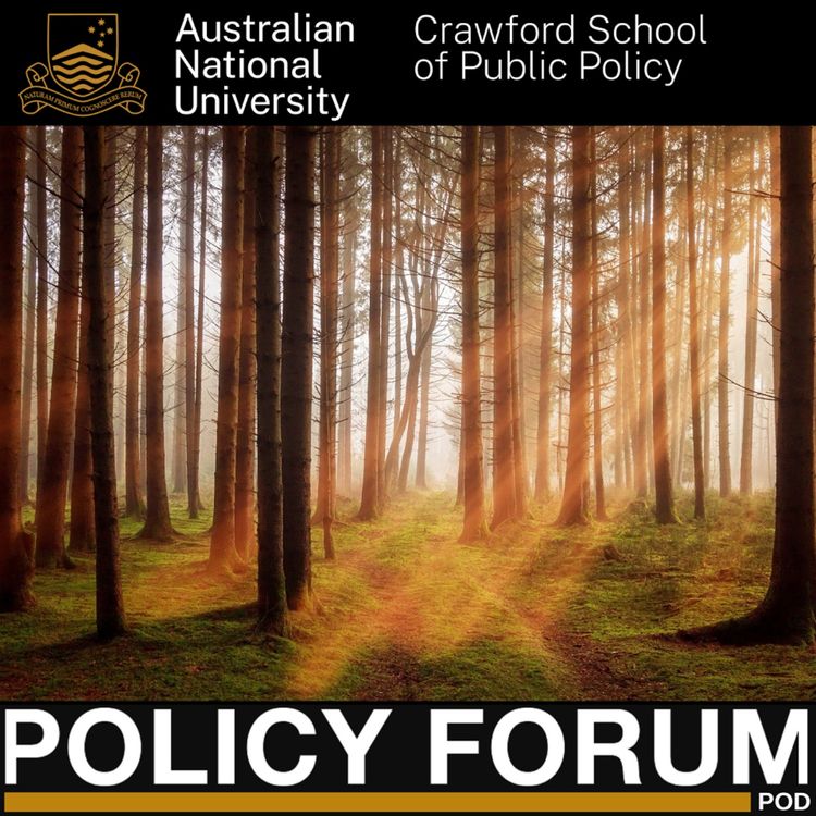 cover art for Reclaiming imagination with Rob Hopkins