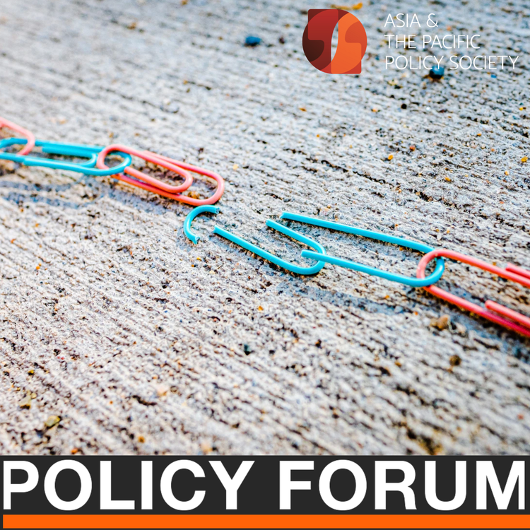 cover art for The wellbeing economy - democratic repair in disconnected times