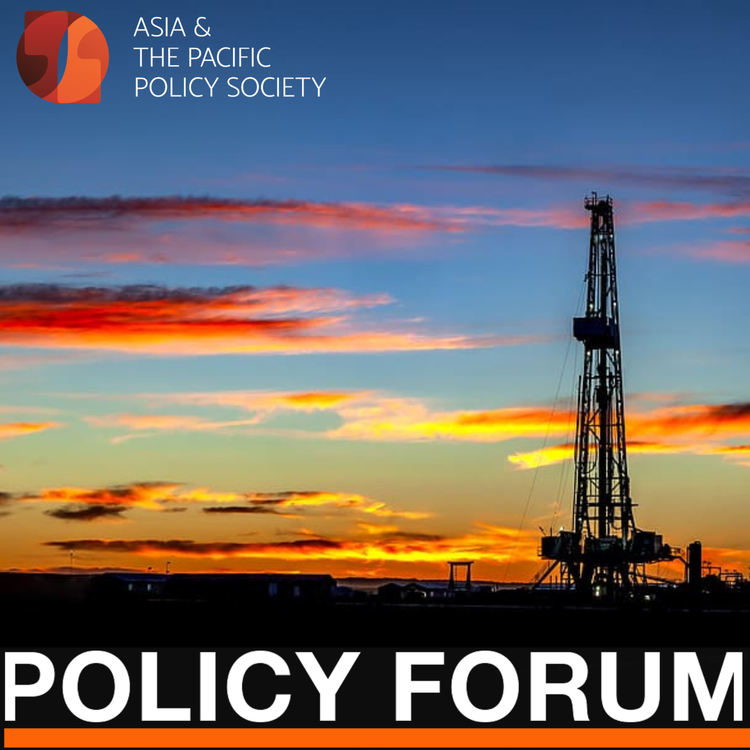 cover art for Clear and present failure - climate policy in Australia