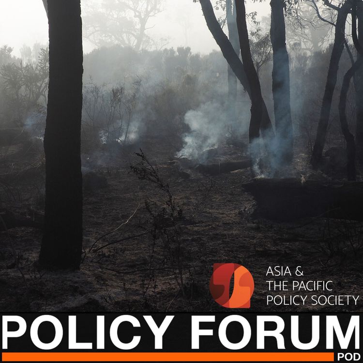 cover art for Caring for burning Country