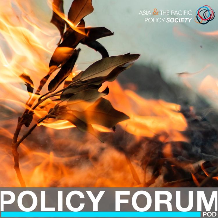 cover art for Beyond declaring a climate emergency