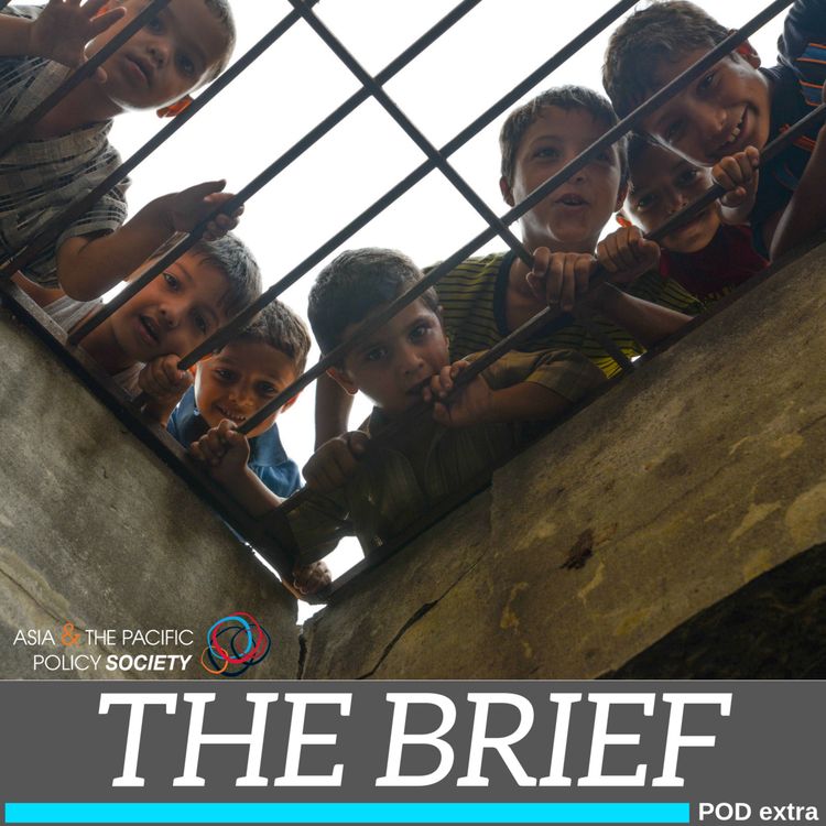 cover art for The Brief: Seeking asylum