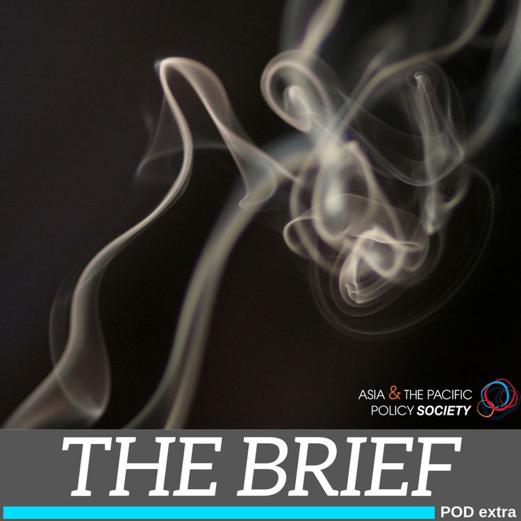 cover art for The Brief: Vice policy