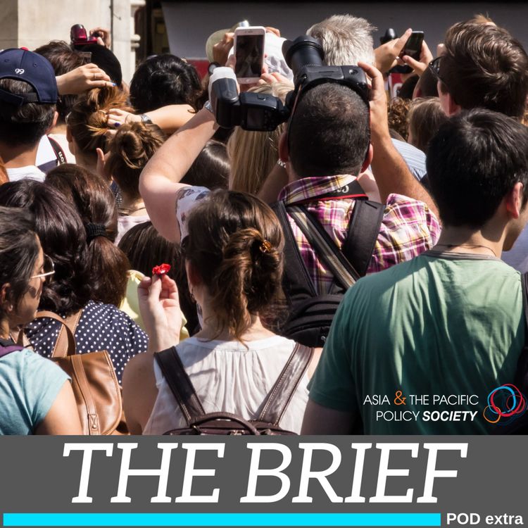 cover art for The Brief: Quality control for tourism?