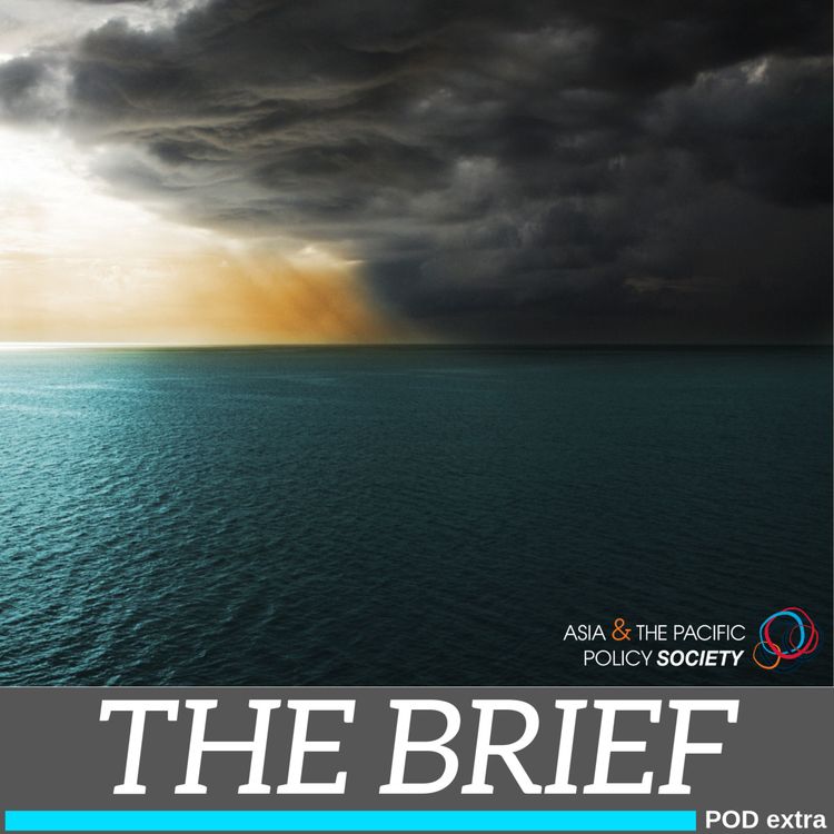 cover art for The Brief: Designing for disaster