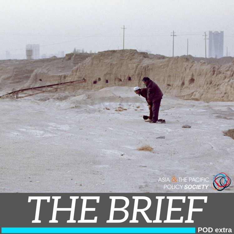 cover art for The Brief: China’s Xinjiang police state