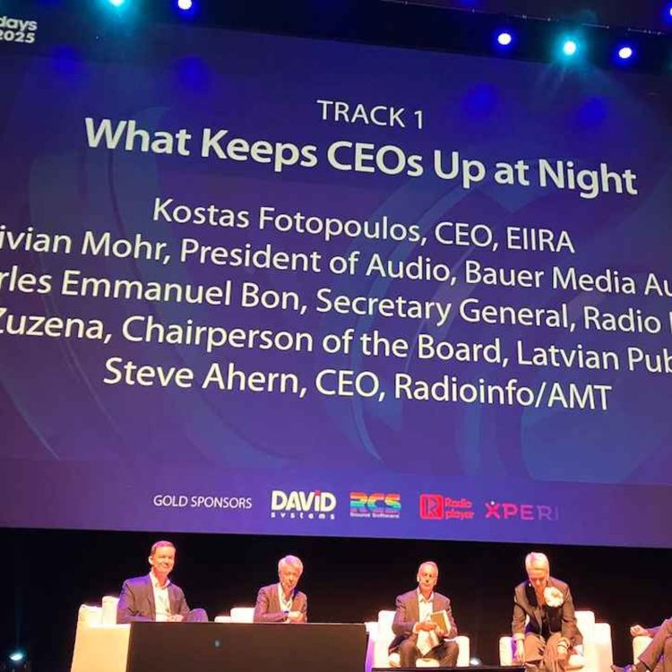 cover art for What Keeps CEOs up at Night
