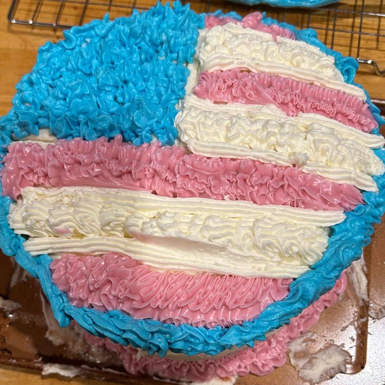 cover art for ep 285 - a gorgeous trans pride cake