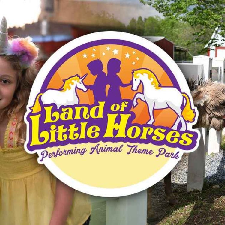 cover art for ep 367 - the land of little horses
