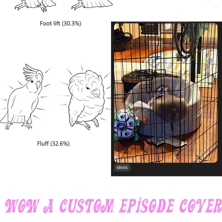 cover art for ep 369 - the beautiful dance of the cockatoo