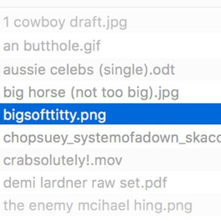 episode 1 - bigsofttitty.png