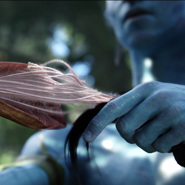 cover art for AVATAR 2009 (w/ Jackson Baley and Cass Paige)