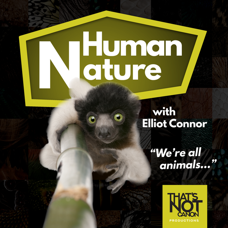 cover art for S2E3: Daniel Fox and Humans