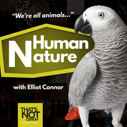 cover art for Human Nature Cast