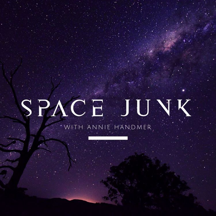 cover art for Episode 23: Space Junk - MVA Public Forum on the Moon (with Alice Gorman, Gabrielle Harris, Thomas Gooch, and Madeleine Bandurksi) - Part 1 of 3