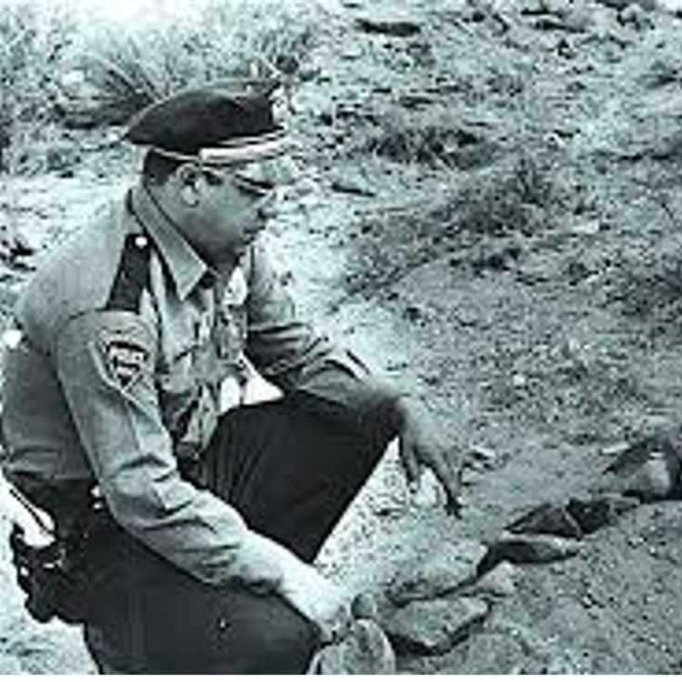 cover art for The Lonnie Zamora encounter (1964 Socorro New Mexico) part 1 of 2