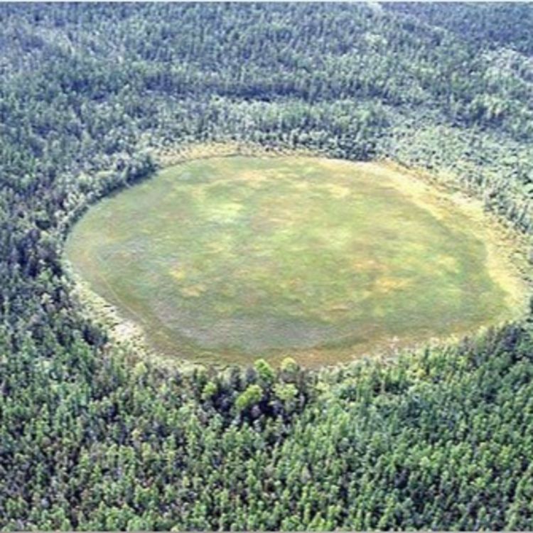 cover art for Hoia Baciu