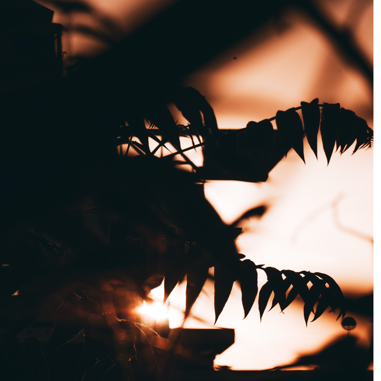 cover art for RPGDLC - Dragon World: Part 1