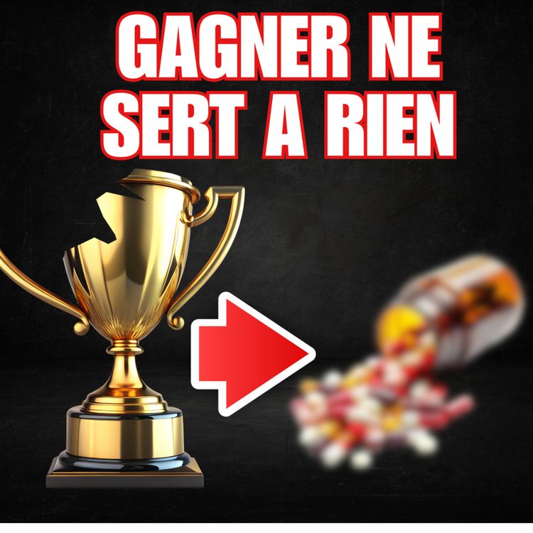 cover art for Pourquoi gagner la Star Academy ne sert à rien (X Factor, The Voice, Nouvelle Star)