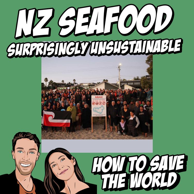 cover art for NZ Seafood: Surprisingly Unsustainable