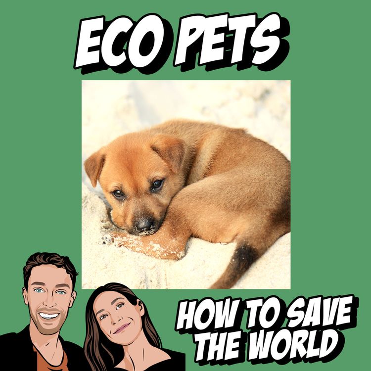 cover art for Eco Pets