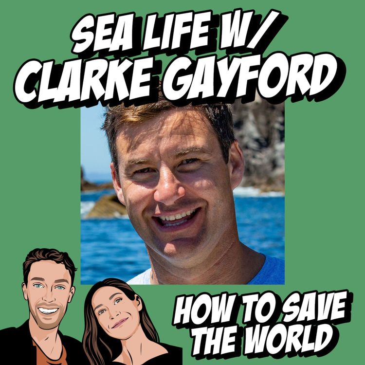 cover art for Sea Life w/ Clarke Gayford