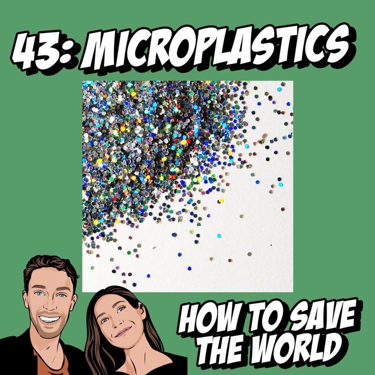 cover art for Microplastics; A hidden disaster