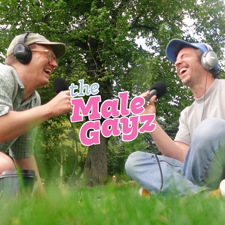 cover art for The Male Gayz Are Honest For Once
